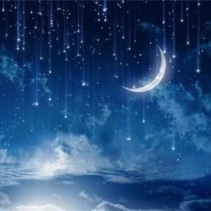 Meet your Posher, Vy